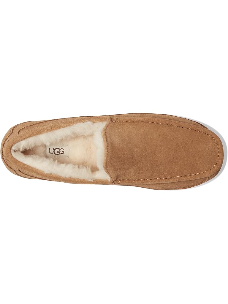 Brown UGG Ascot